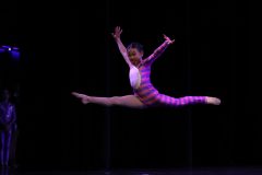 GTBSING25024639-scaled